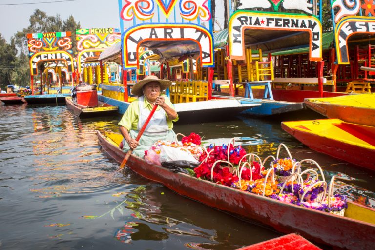 Lake Xochimilco and La Condesa in Mexico City: What to Expect