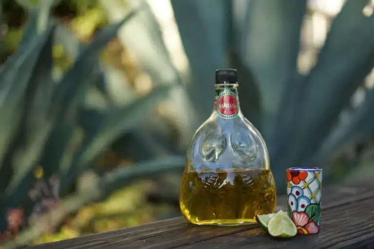 Damiana Liquor: Exploring the Tempting World of Baja’s Elixir