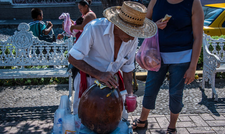 Colima’s Tuba Drink: The Ultimate Refreshment You Need to Try