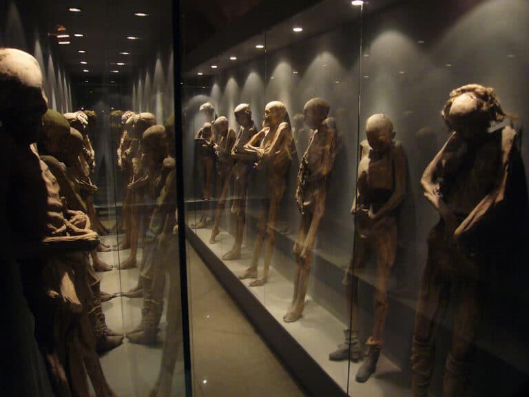 The Mummies of Guanajuato: A Must-See Spectacle of History