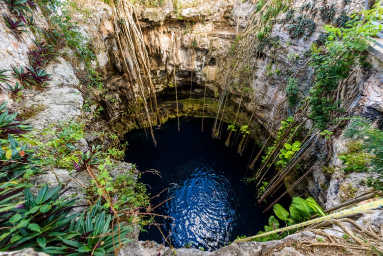 Yucatan’s Secret Oasis: The Allure of Cenote Oxman