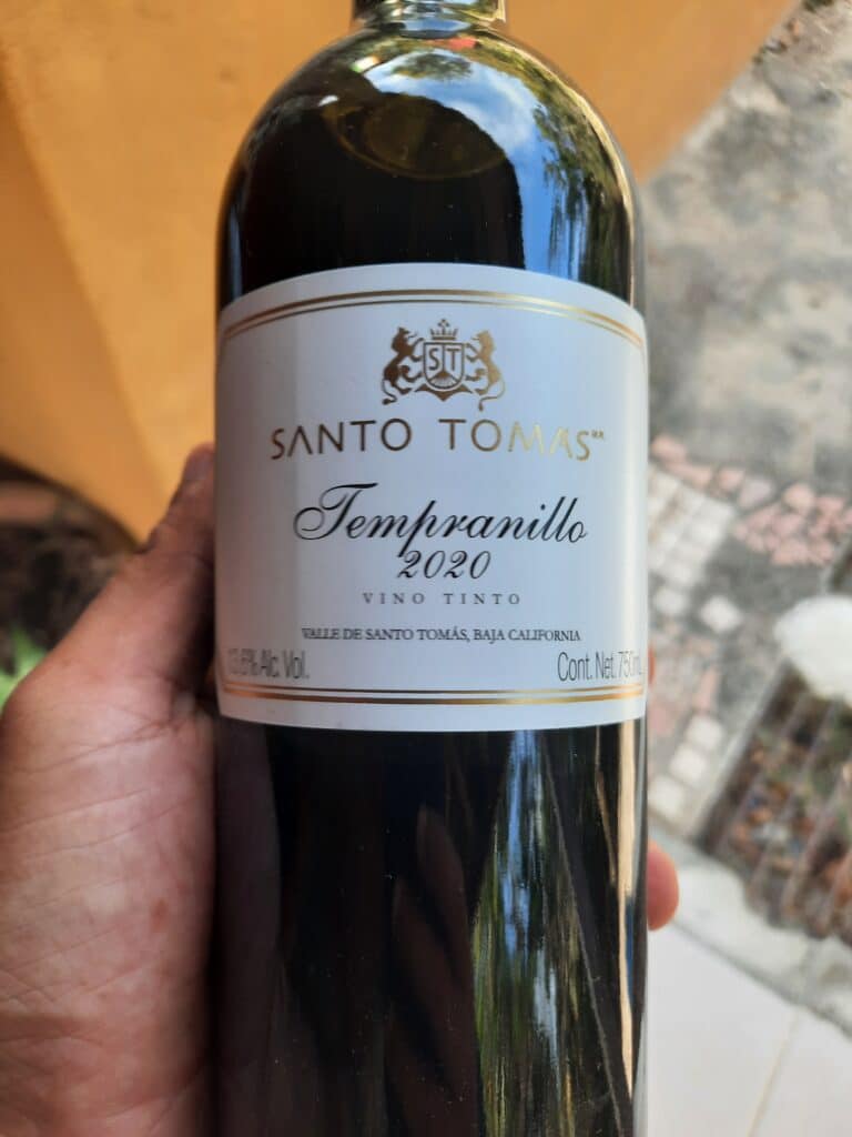 best-wineries-in-valle-de-guadalupe-santo-tomas