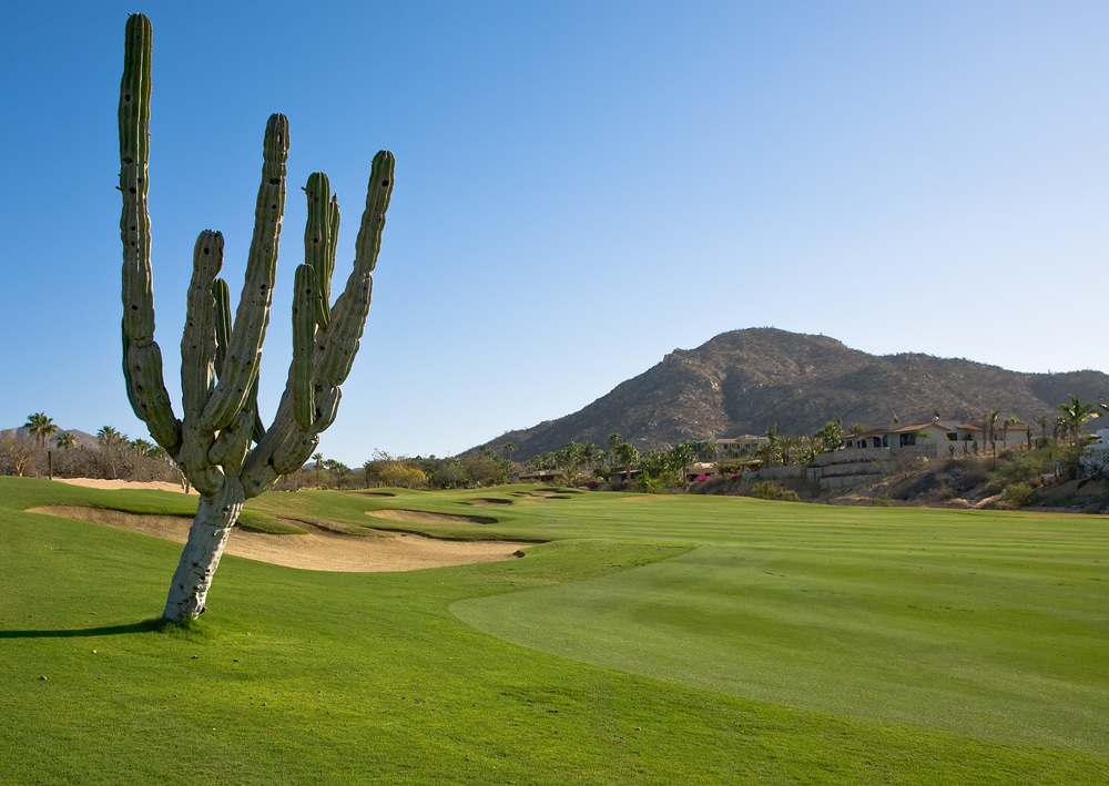best golf courses in mexico 