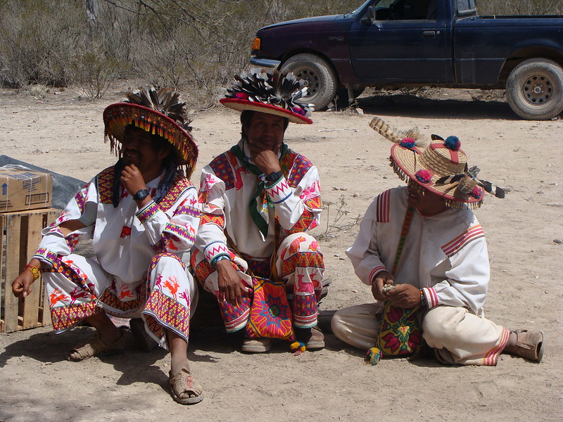 indigenous groups in mexico 