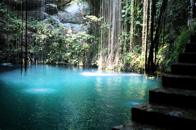 Cenote Chronicles: Mexico’s Top 23 Enchanting Natural Pools