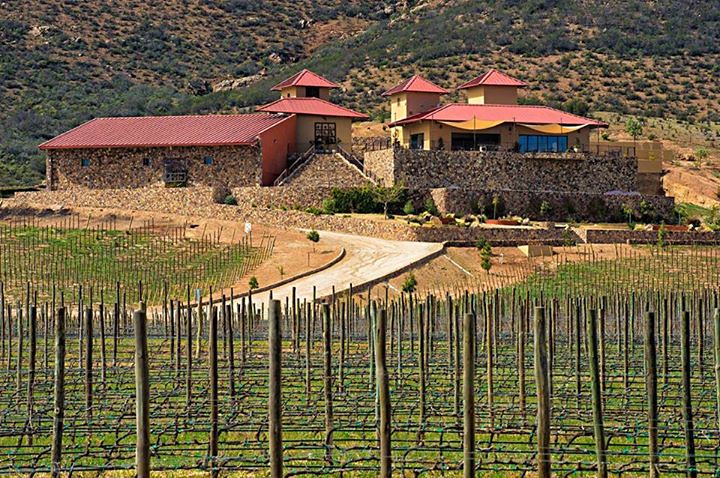 TOP 11 Hotels in Valle de Guadalupe, Baja California: Wine Country Bliss