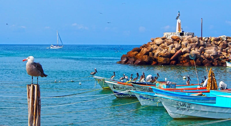 best fishing destinations in mexico
