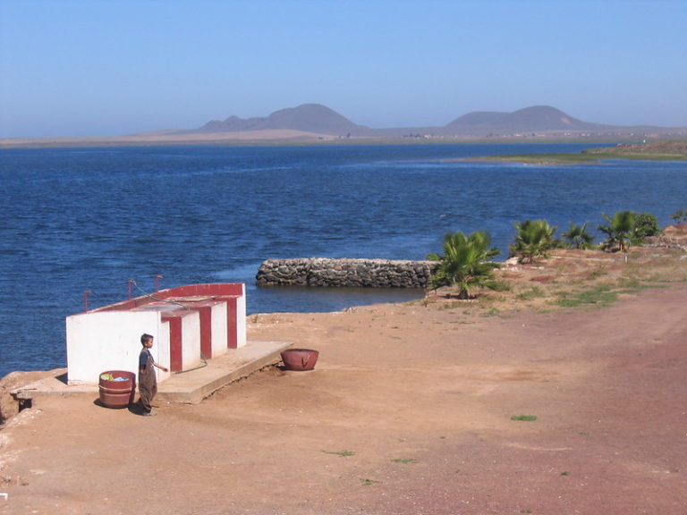 San Quintin Unplugged: A 2024 Traveler’s Retreat in Baja California