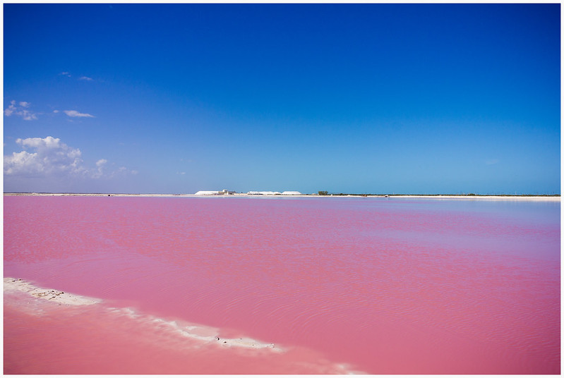 las coloradas mexico pink lake