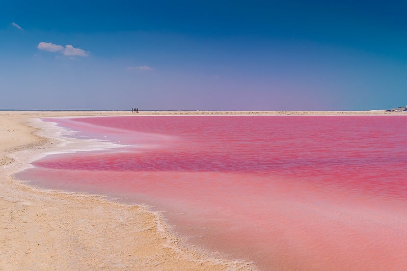 pink lagoon