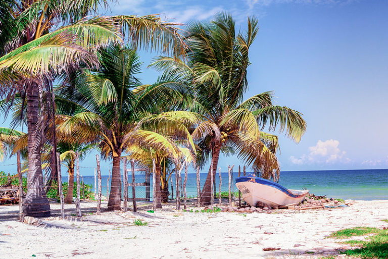 Yucatan’s Coastal Treasures: Unveiling the 10 Best Beaches for 2024