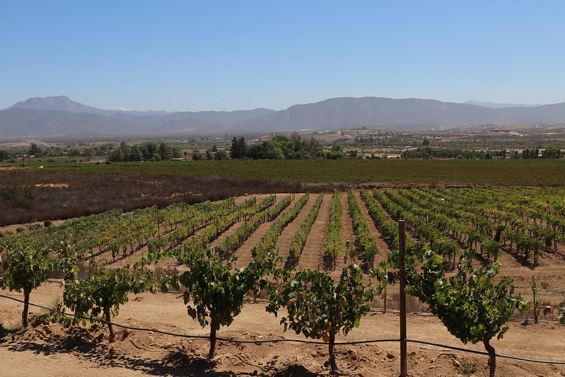 best wineries valle de guadalupe
