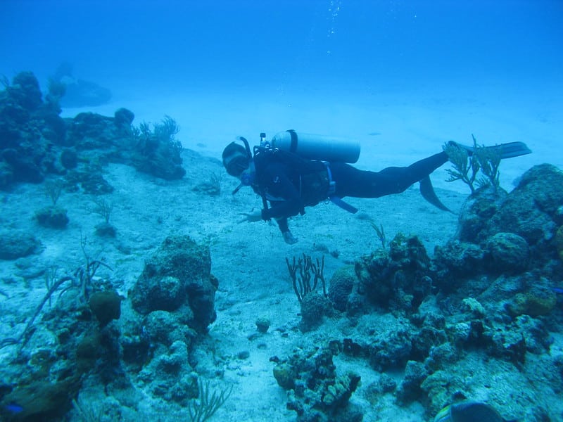 tulum mayan reef