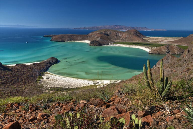 Balandra Beach Guide: Nature’s Masterpiece in La Paz, Baja