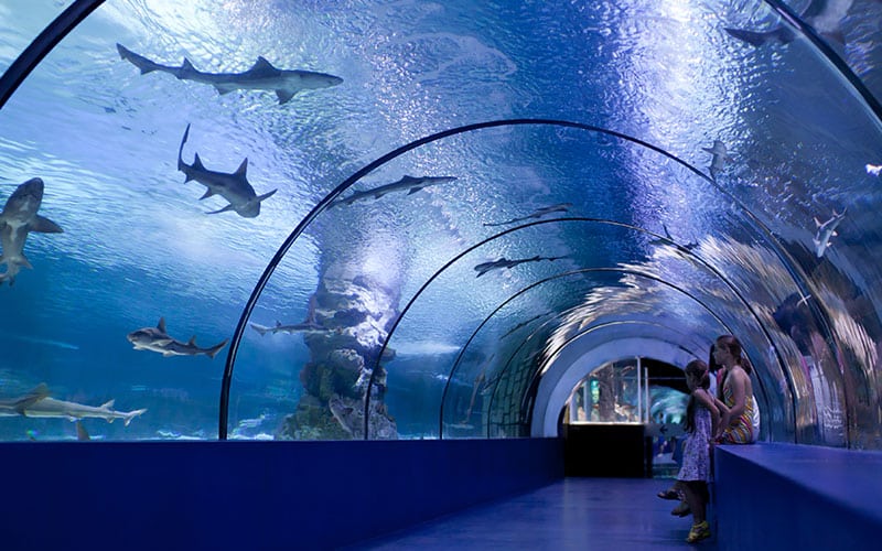 aquarium mexico
