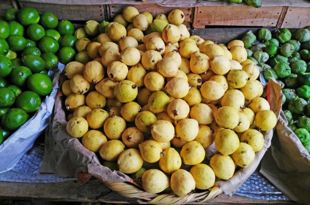 fruits from mexico
