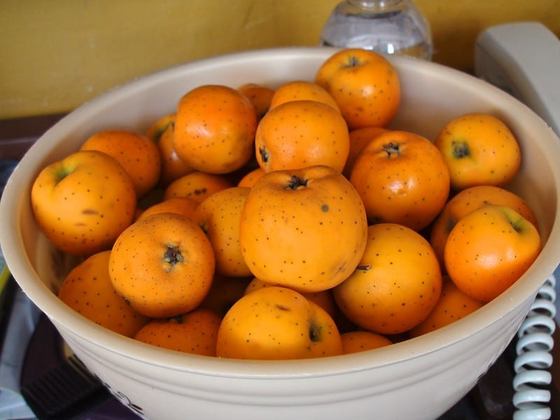 fruits from mexico