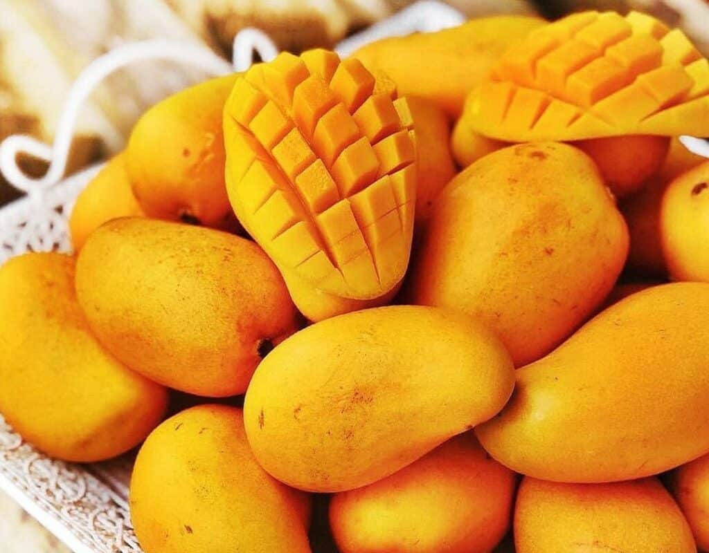fruits of mexico mango